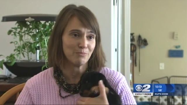 Pet Foster Parents - Pay It Forward | Mountain America Credit Union смотреть онлайн