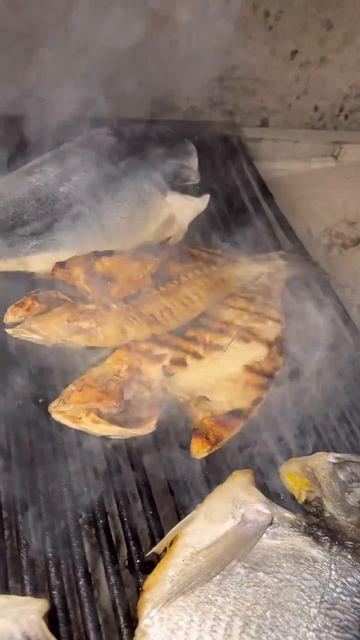 Turkish Cuisine 🇹🇷