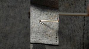 Как определить пол  по семенам присмотритесь к их форме