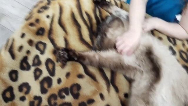 Лепим🥟,печем...🍞. смотреть онлайн