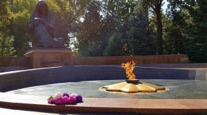 Верните память вернитесь сами...