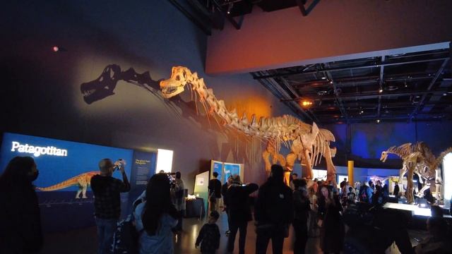 Dinosaurs of Patagonia at the WA Museum смотреть онлайн