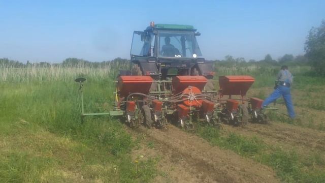 nodet gaugis pneumasem II, fasole + alergie смотреть онлайн