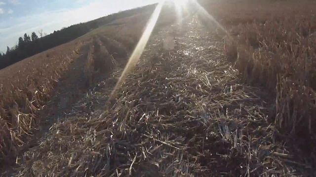 Raptor 250 GoPro Ride[1080p] смотреть онлайн