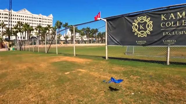 GO GO Bird! | АНБОКСИНГ | ТОПОВАЯ ИГРУШКА | ОБЗОР смотреть онлайн