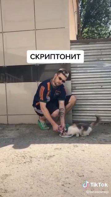 Кормим кошек и котов в стиле русских реперов💪😂 смотреть онлайн