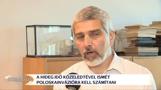 Idén is támadnak a poloskák смотреть онлайн