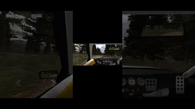 Играю в ралли