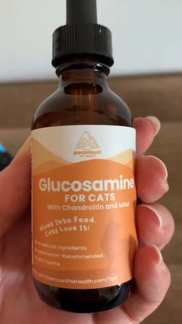 Pet Supplement Recommendations | Cat Supplements | Cute Cats | Cat Health #shorts смотреть онлайн
