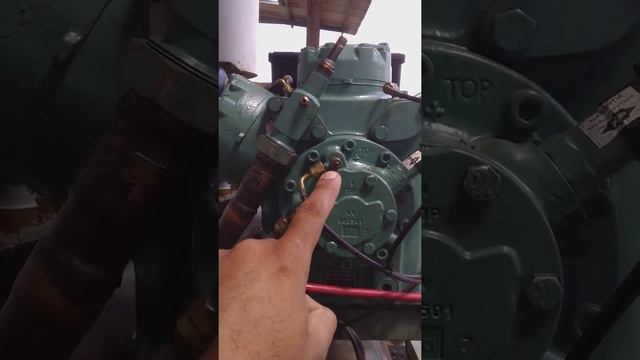 bomba de óleo de compressor bitzer смотреть онлайн