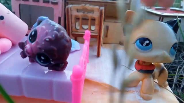 LPS :24 ЧАСА НА ПОЛЯНЕ ЧЕЛЕННДЖ! 🍪🌻🌸#лпс #lps #lpspopular #рекомендации смотреть онлайн