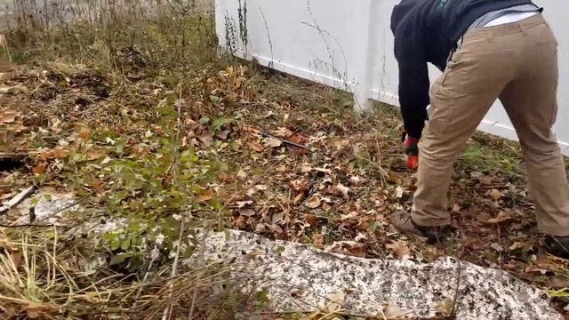 ECHO HC-2020 Hedge Trimmer Review смотреть онлайн