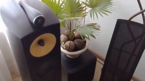 bowers & wilkens nad c375 bee b&w 804s