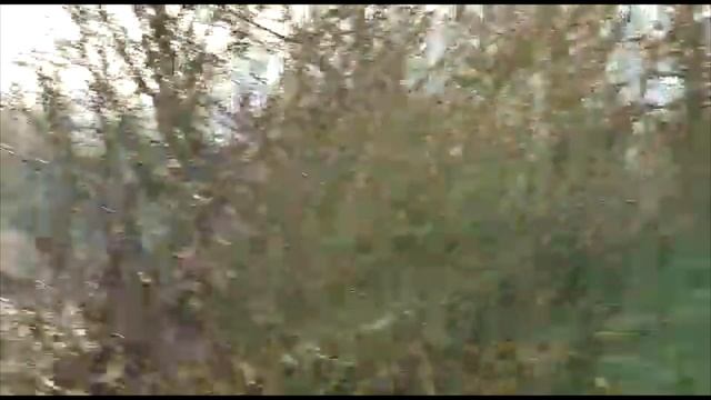 Lov na fazana(Završetak lovne sezone)#26 смотреть онлайн