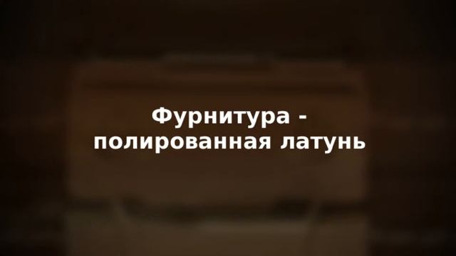 Футляр для хранения 5-ти часов Champ Collection 26220-3 смотреть онлайн