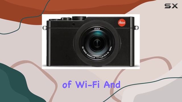 Leica D-Lux (Type 109) In-Depth Review: A Compact Powerhouse for Photography and Video. смотреть онлайн