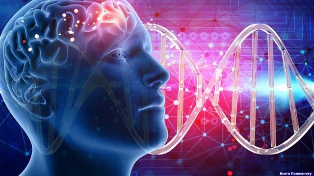 Короткие факты о психологии №14 смотреть онлайн