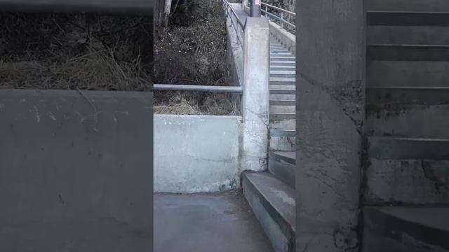 Leg workouts in Santa Monica stairs смотреть онлайн