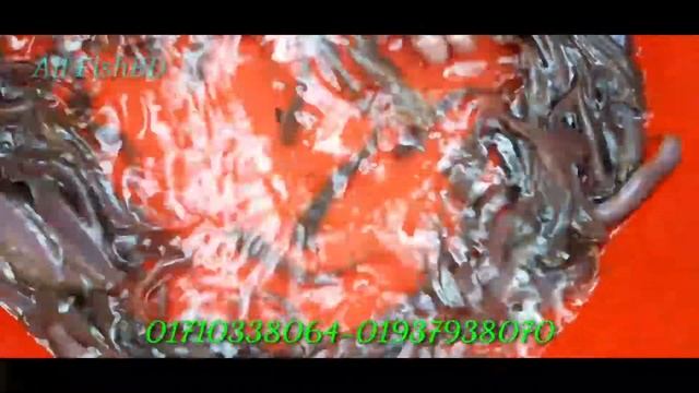 ময়মনসিংহের দেশি শিং মাছের পোনা চাষ পদ্ধতি | ৩০০ পিচ কেজি শিং মাছের পোনা বায়োফ্লক চাষ | 0171033806 смотреть онлайн
