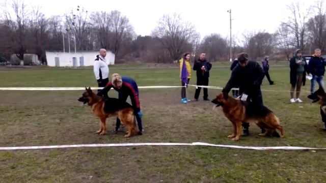 Рабочие кобели 2: Ванкуер, Неро, Олиф, Визум. Кропоткин 2018 смотреть онлайн
