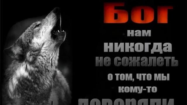 мудрые слова смотреть онлайн