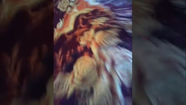 Klz oldu sat 5:30 kocasn evlyatlarn brakp gitii смотреть онлайн