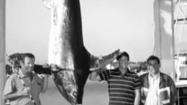 Roy E. Naftzger, Jr. - IGFA Fishing Hall of Fame смотреть онлайн