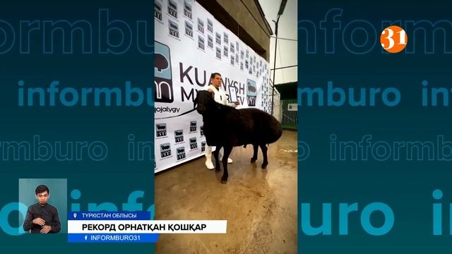 #Рекордсмен по весовой категории 230кг К,очкар К,уаныш Мыктыбаев🇰🇿🤝🇺🇿👍👍 смотреть онлайн
