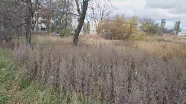 ДОСА в Воздвиженке.