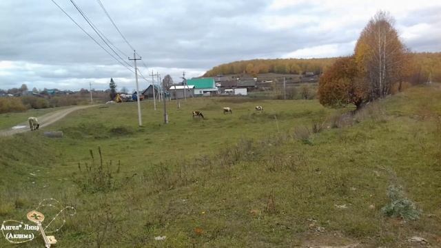 Сап сары яфраклар смотреть онлайн