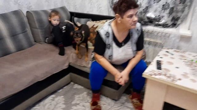 знакомство со зверями💗💗💗 смотреть онлайн