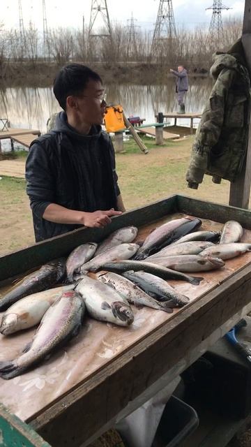 Вот такой улов у нашего постоянного рыбака смотреть онлайн