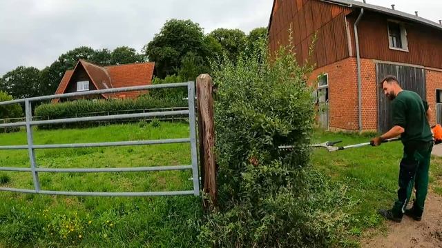 This Farm NEEDS SATISFYING Pruning Of OVERGROWN Hedge Next To Stables смотреть онлайн