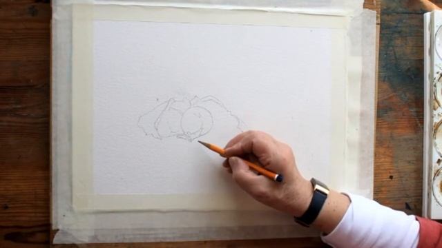 Watercolour Course Term Two Part 19 смотреть онлайн