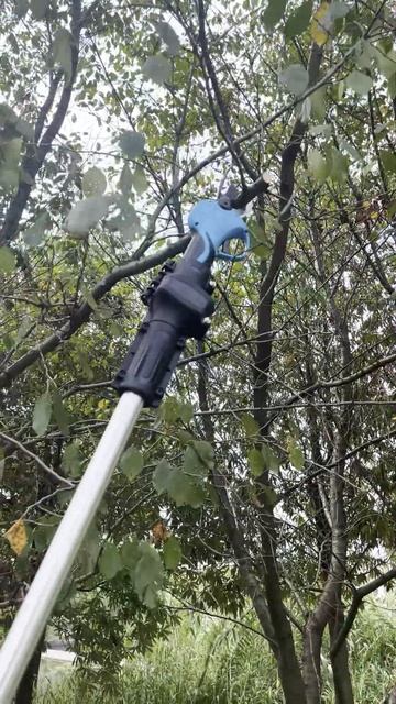 SUCA Electric pruning shear scissor, with extension pole can reach tall tree. Easy to cut branches смотреть онлайн