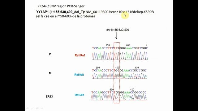 Niveles de análisis sobre el genoma смотреть онлайн