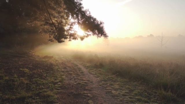 specific person manifestation in 1 minute,LOA, universal truth смотреть онлайн