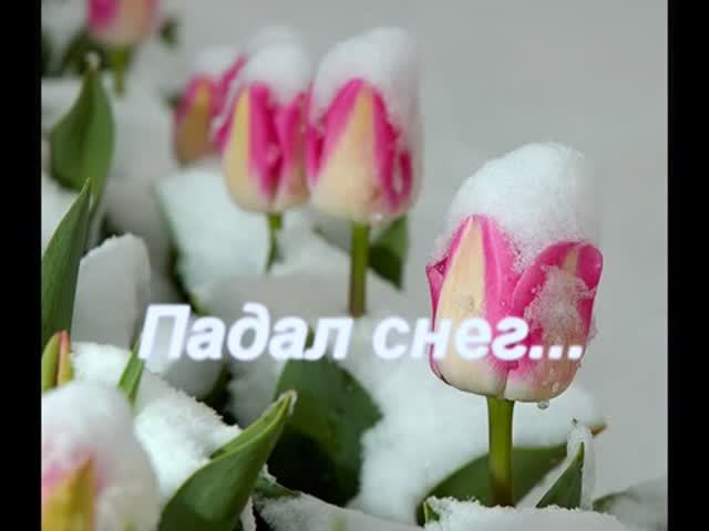 Падал снег. Сергей Чекалин смотреть онлайн