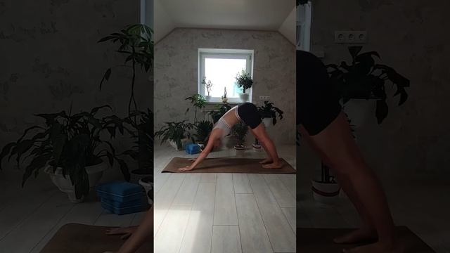 Three options how to make Surya Namaskar #yoga #suryanamaskar #morningpractice смотреть онлайн