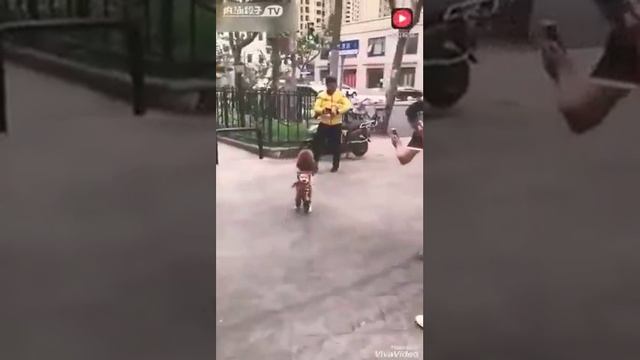 2 июня 2018 г. смотреть онлайн