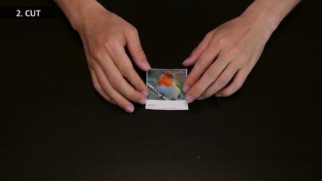 [How To Use] Laser Waterslide Decal Paper