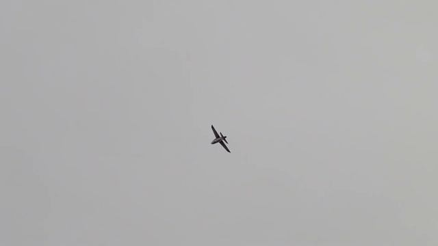 Daniel Hemming - Redwings Leonardo 3 Meter Sport Jet - 2-26-2022 смотреть онлайн