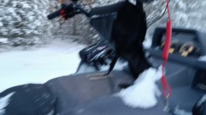 Квадроцикл Атлет