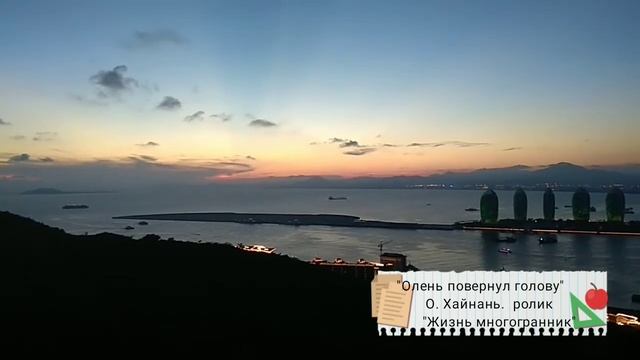Закат на видовой. Парк олень повернул голову. смотреть онлайн