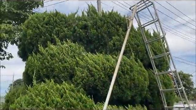 ＃なんでもDIY　便利なポール式のバリカン、および　チェーンソー смотреть онлайн