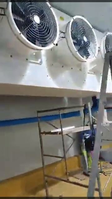Blast Freezer 3Tons Capacity - La Primera Pollo смотреть онлайн