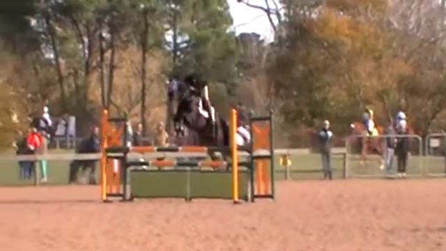 Bill Chrisanis and Jaybee Castille Show jumping at Ballarat Horse trials 2013 смотреть онлайн