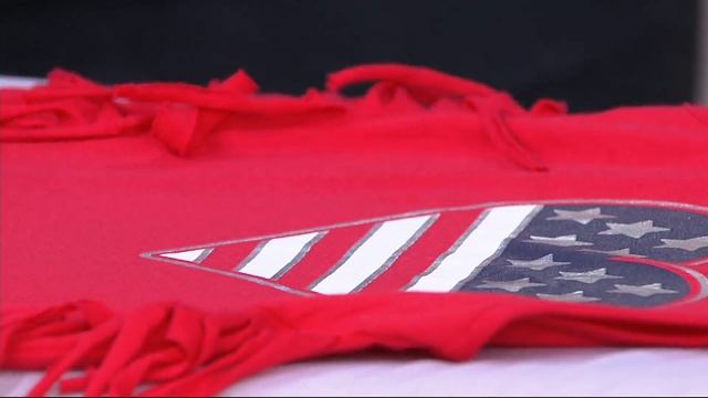 Eurosteam 800 Watt Steam Iron With Stone Soleplate On QVC