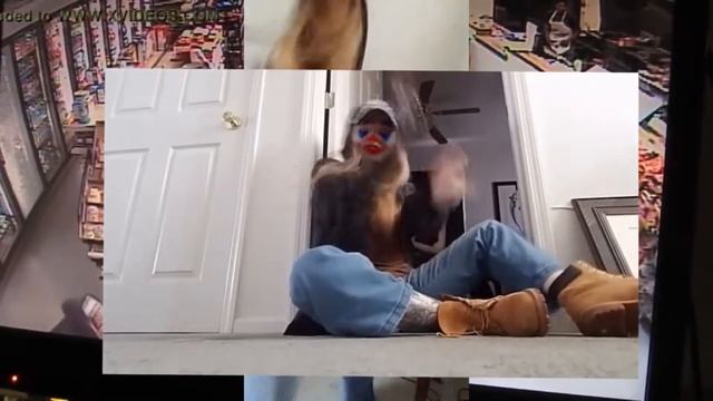 ratrace90210 - gilbert grape freestyle (Official Music Video) смотреть онлайн