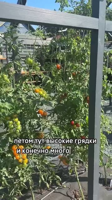 СКОЛЬКО СТОИТ ДОМ ПОСТРОИТЬ? #строительстводома смотреть онлайн
